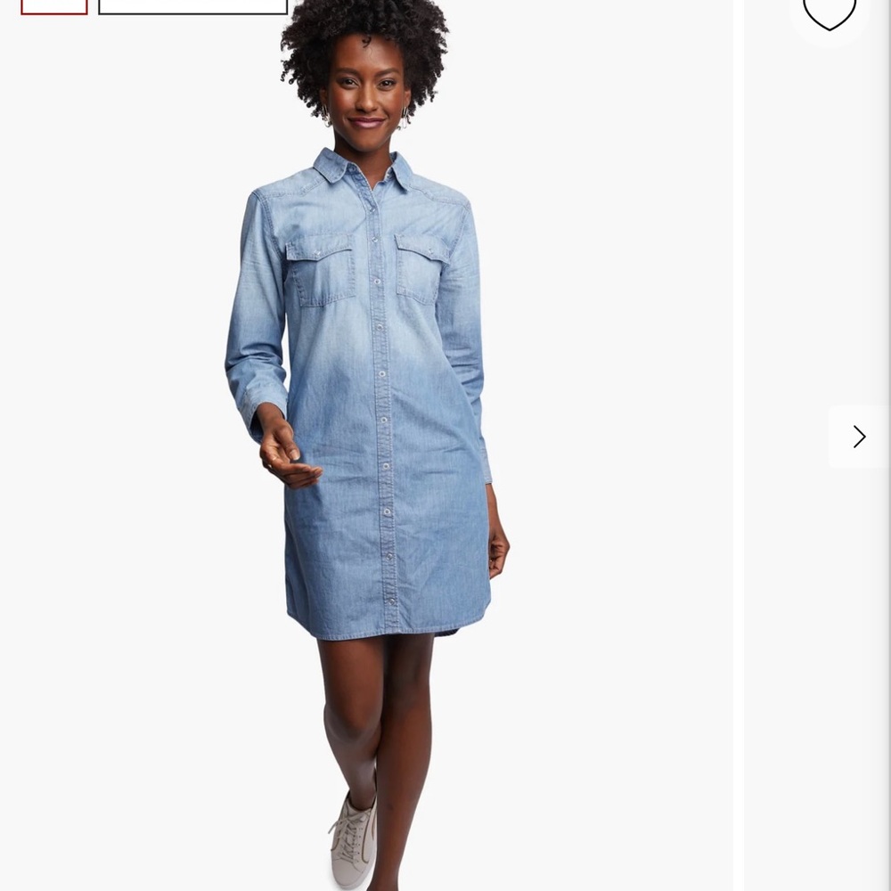 Able Syra Denim Shirt Dress